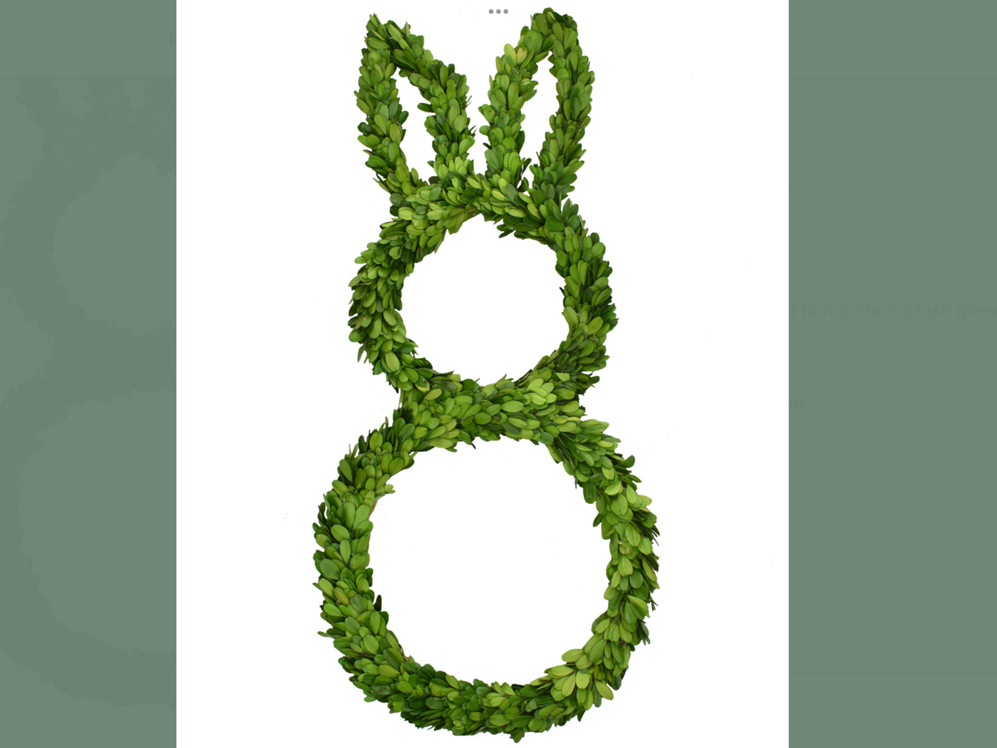 Rabbit Preserved Boxwood