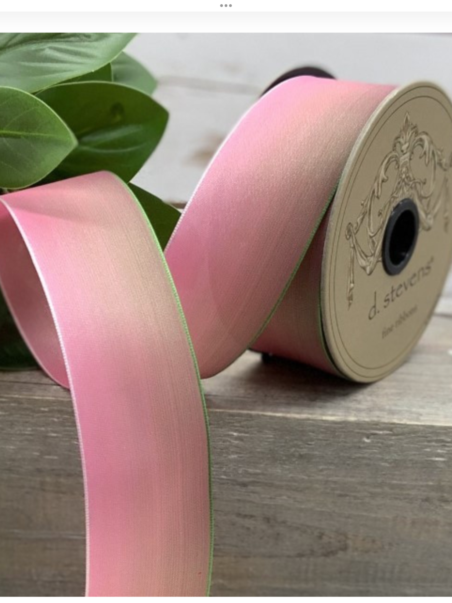Pink-Green French Wired Ribbon