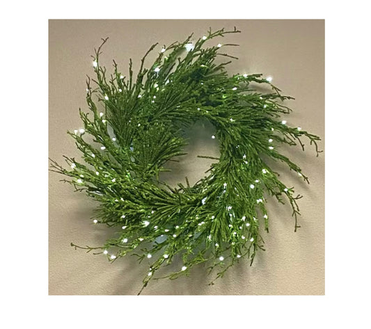 Moss Twig Wreath W/Flocked Branches Pre-lit