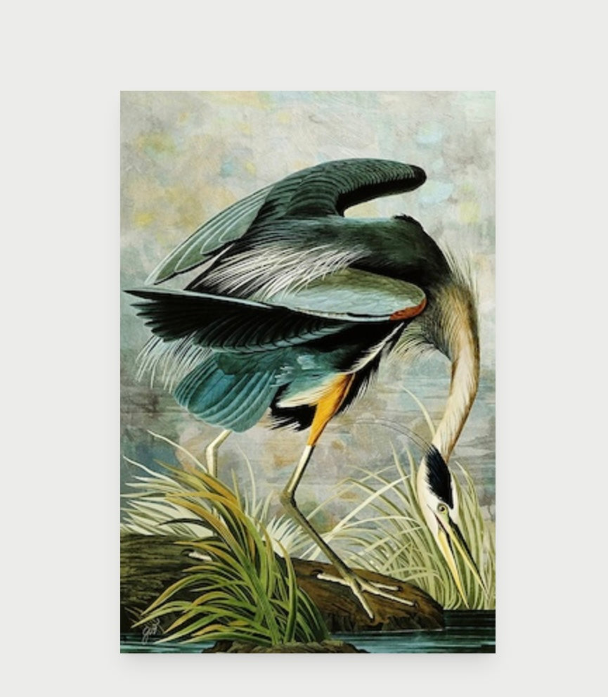 Egret Art Framed