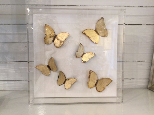 Butterfly Art In Shadowbox