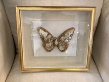 Load image into Gallery viewer, Oyster Art Custom Framed