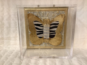 Butterfly In Shadowbox